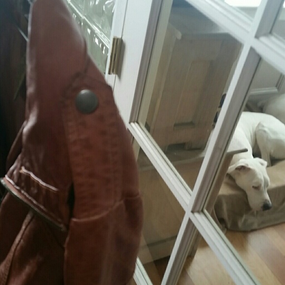 Jacket - Picture 3 of 7